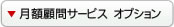 月額顧問サービスオプション